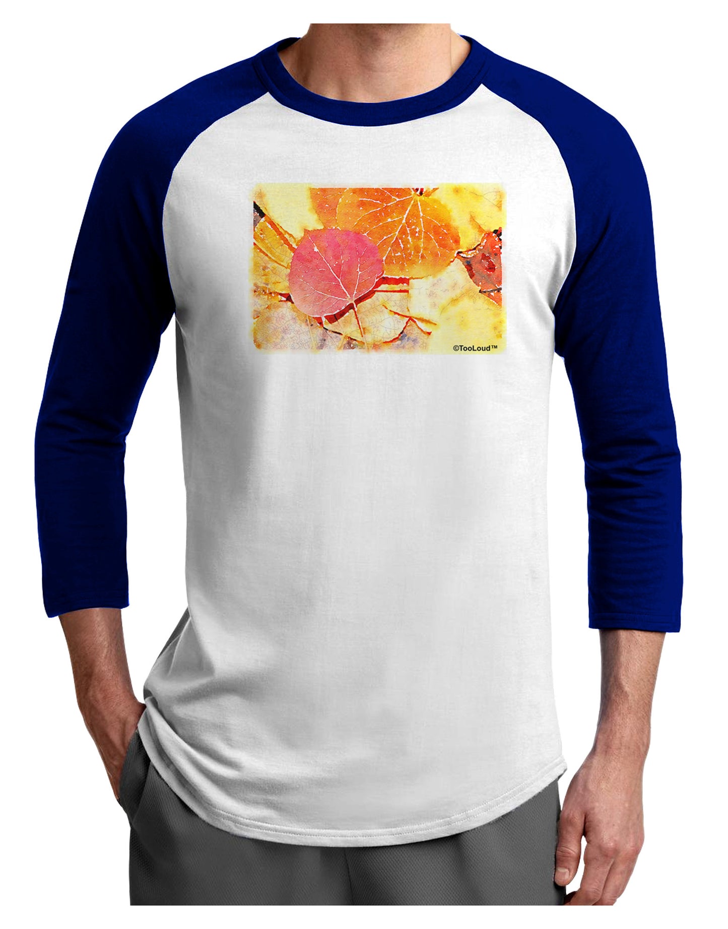 Colorado - Autumn WaterColor Adult Raglan Shirt-Raglan Shirt-TooLoud-White-Royal-X-Small-Davson Sales