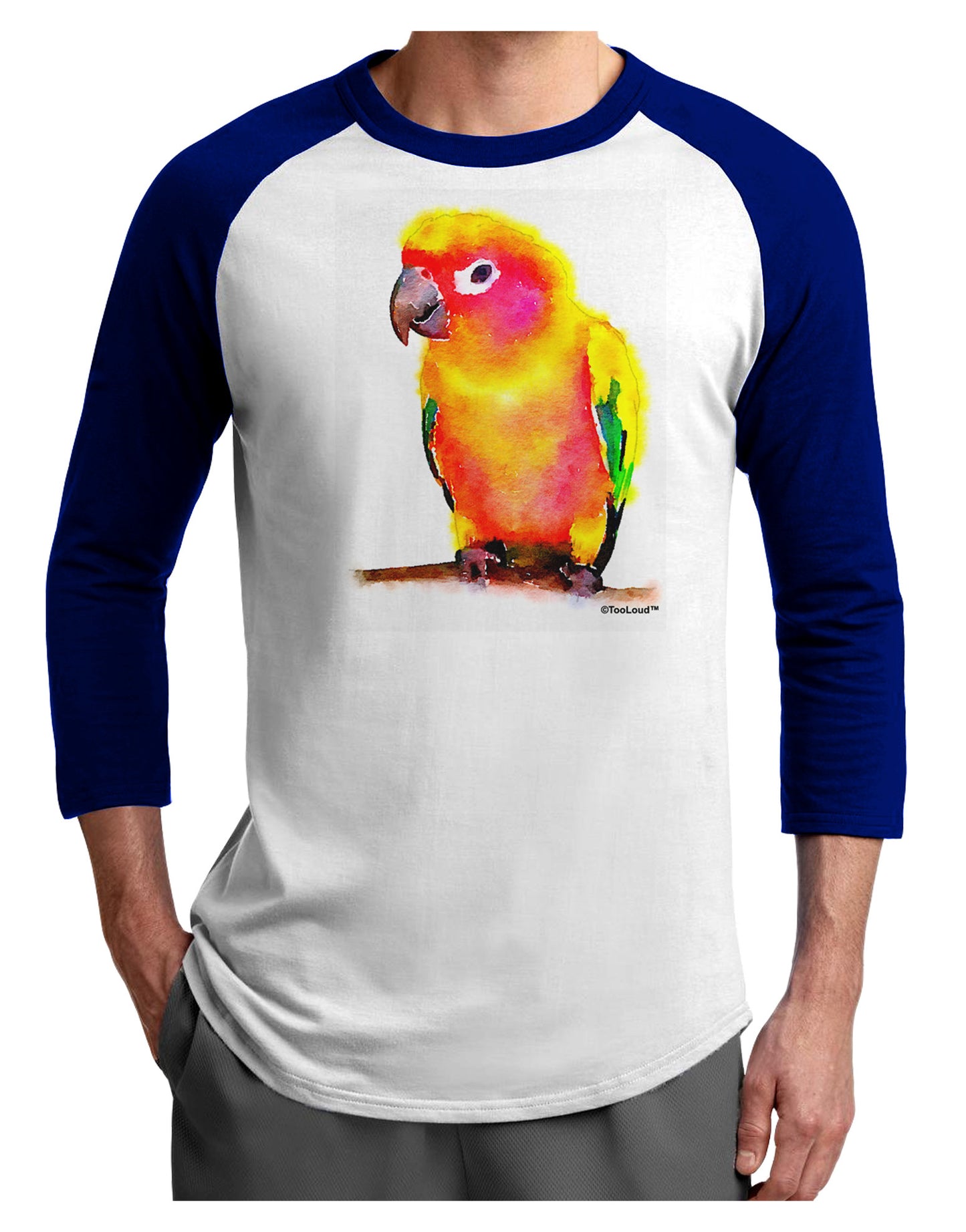 Sun Conure Parrot Watercolor Adult Raglan Shirt-TooLoud-White-Royal-X-Small-Davson Sales