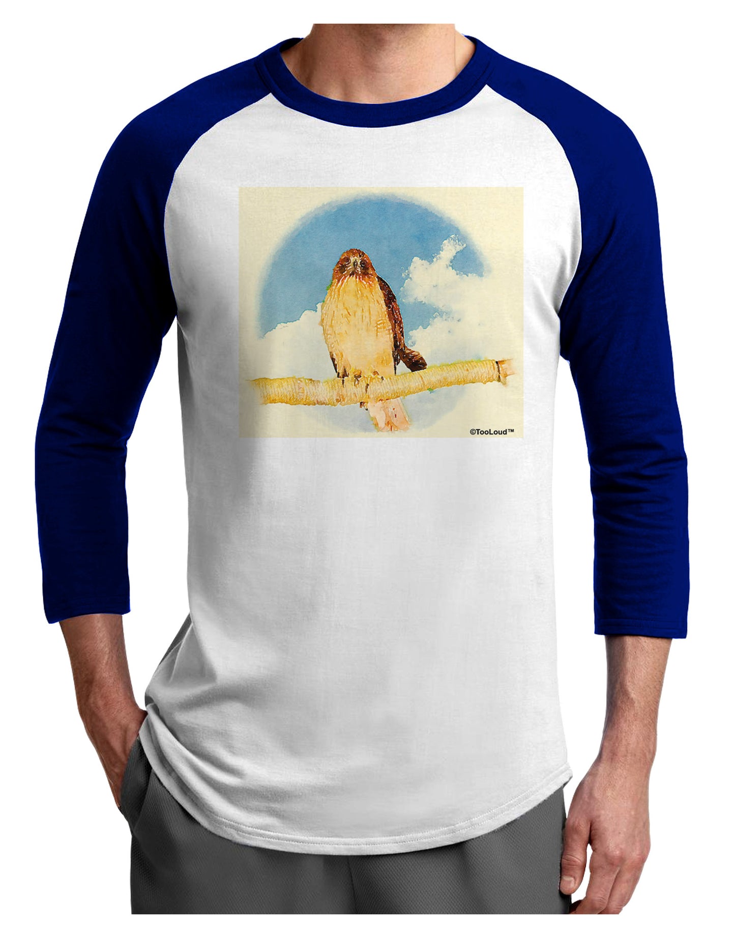 Red-tailed Hawk Adult Raglan Shirt-TooLoud-White-Royal-X-Small-Davson Sales