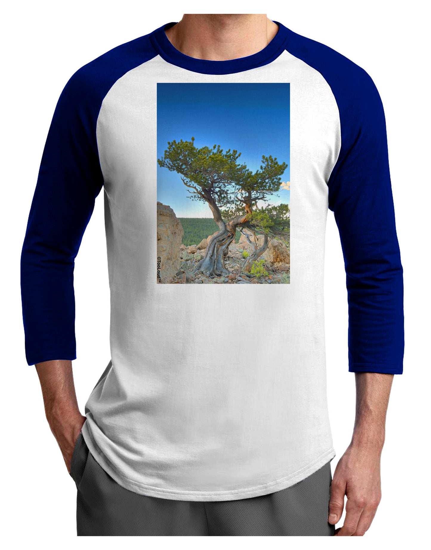 Colorado Landscape Tree Adult Raglan Shirt-TooLoud-White-Royal-X-Small-Davson Sales