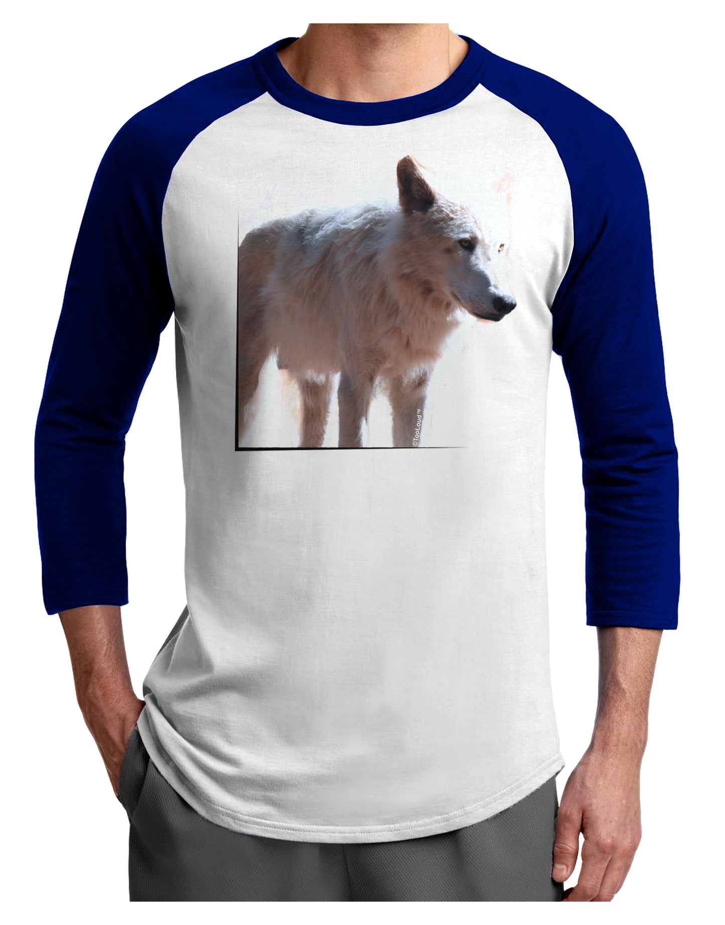 Magnificent Full White Wolf Adult Raglan Shirt-Raglan Shirt-TooLoud-White-Royal-X-Small-Davson Sales