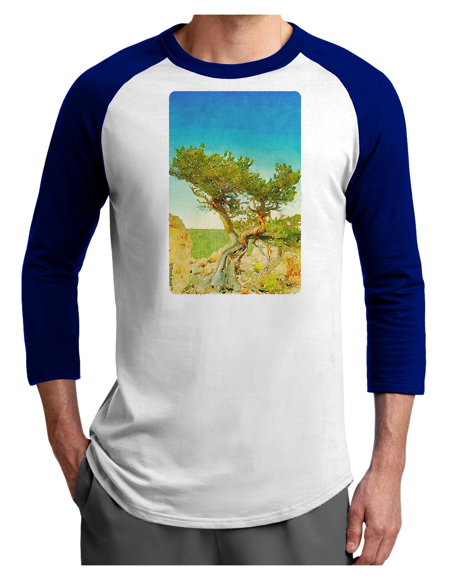 Colorado Tree Watercolor Adult Raglan Shirt-TooLoud-White-Royal-X-Small-Davson Sales