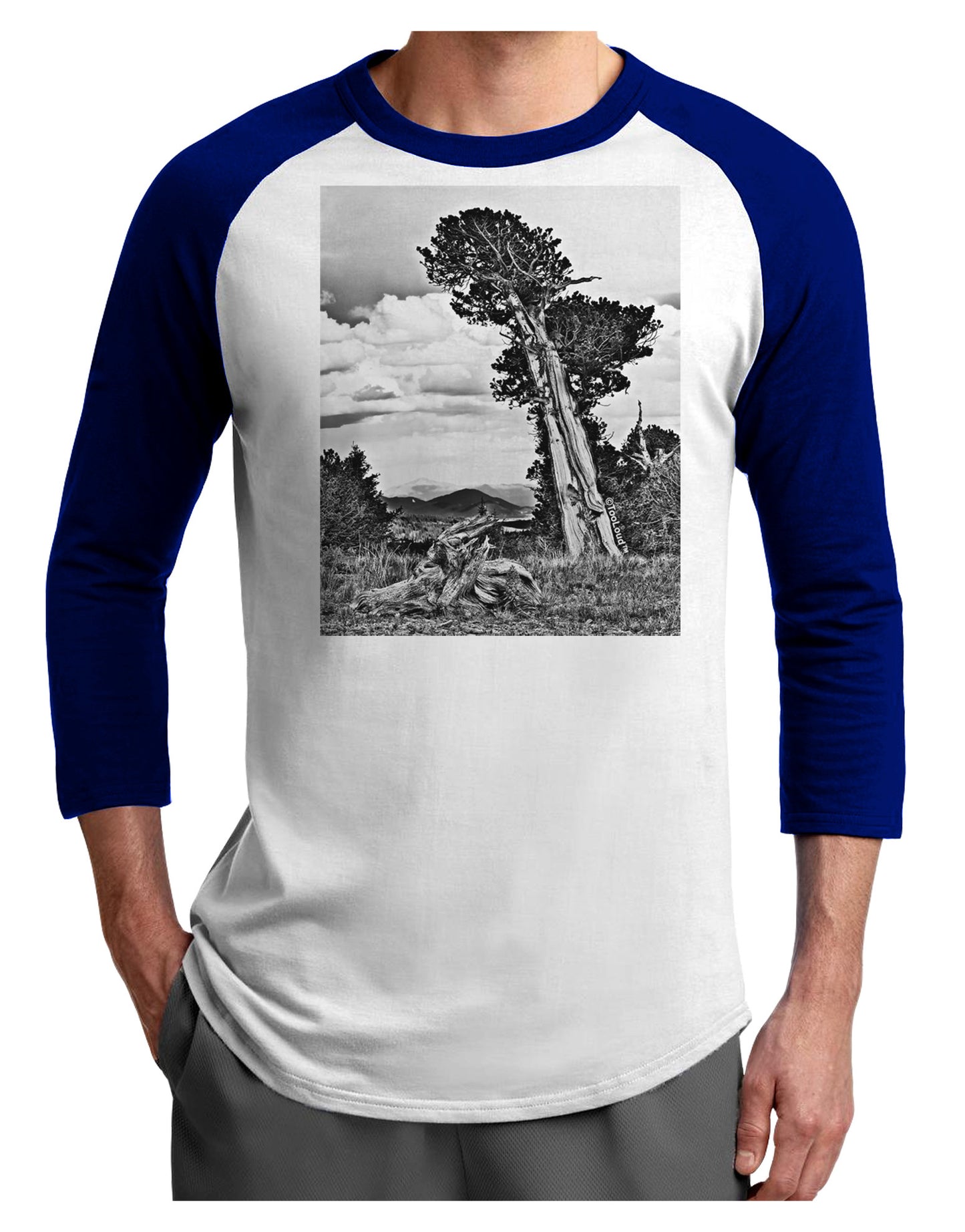Colorado Landscape Monochrome Adult Raglan Shirt-TooLoud-White-Royal-X-Small-Davson Sales