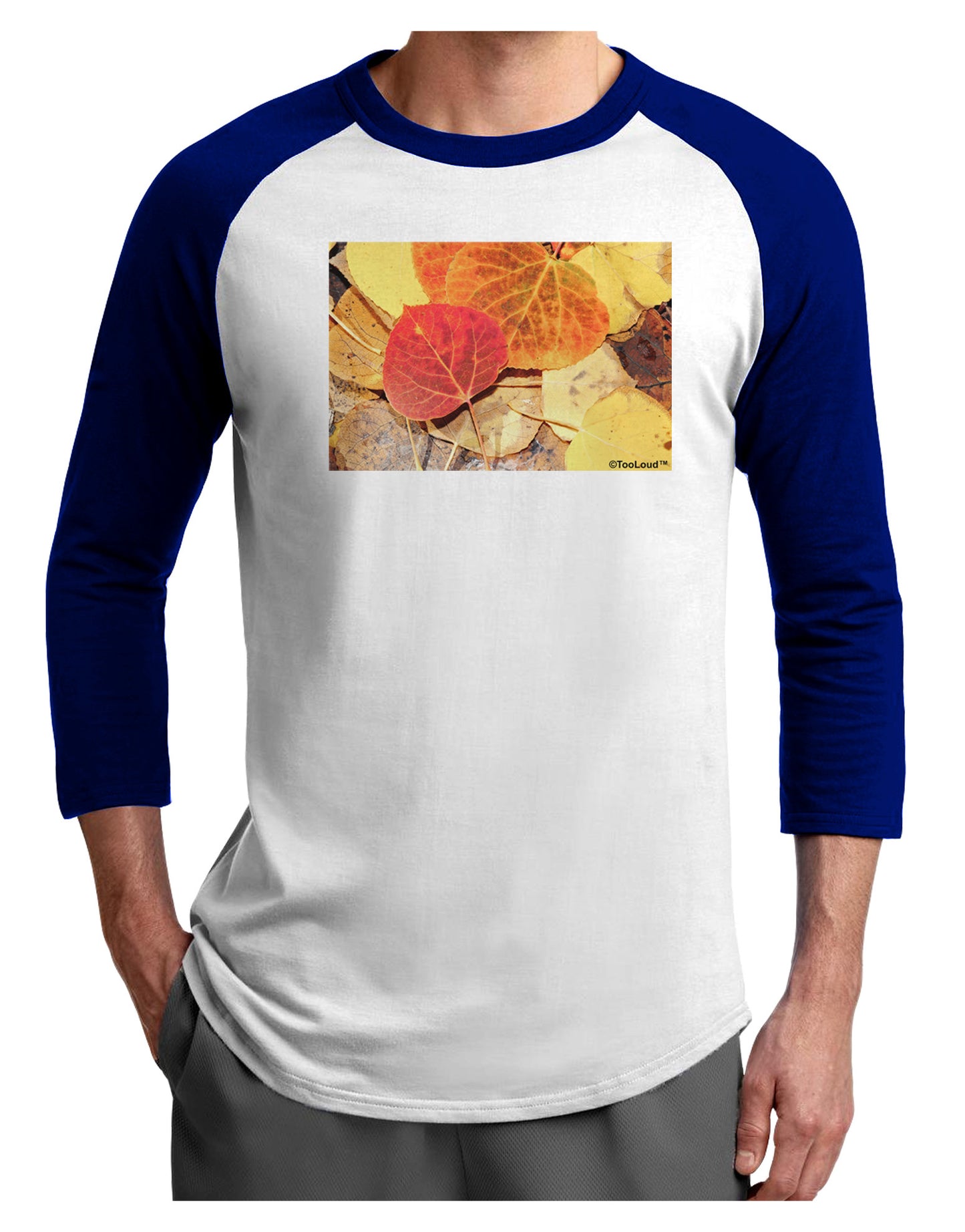 Colorado - Autumn Adult Raglan Shirt-Raglan Shirt-TooLoud-White-Royal-X-Small-Davson Sales