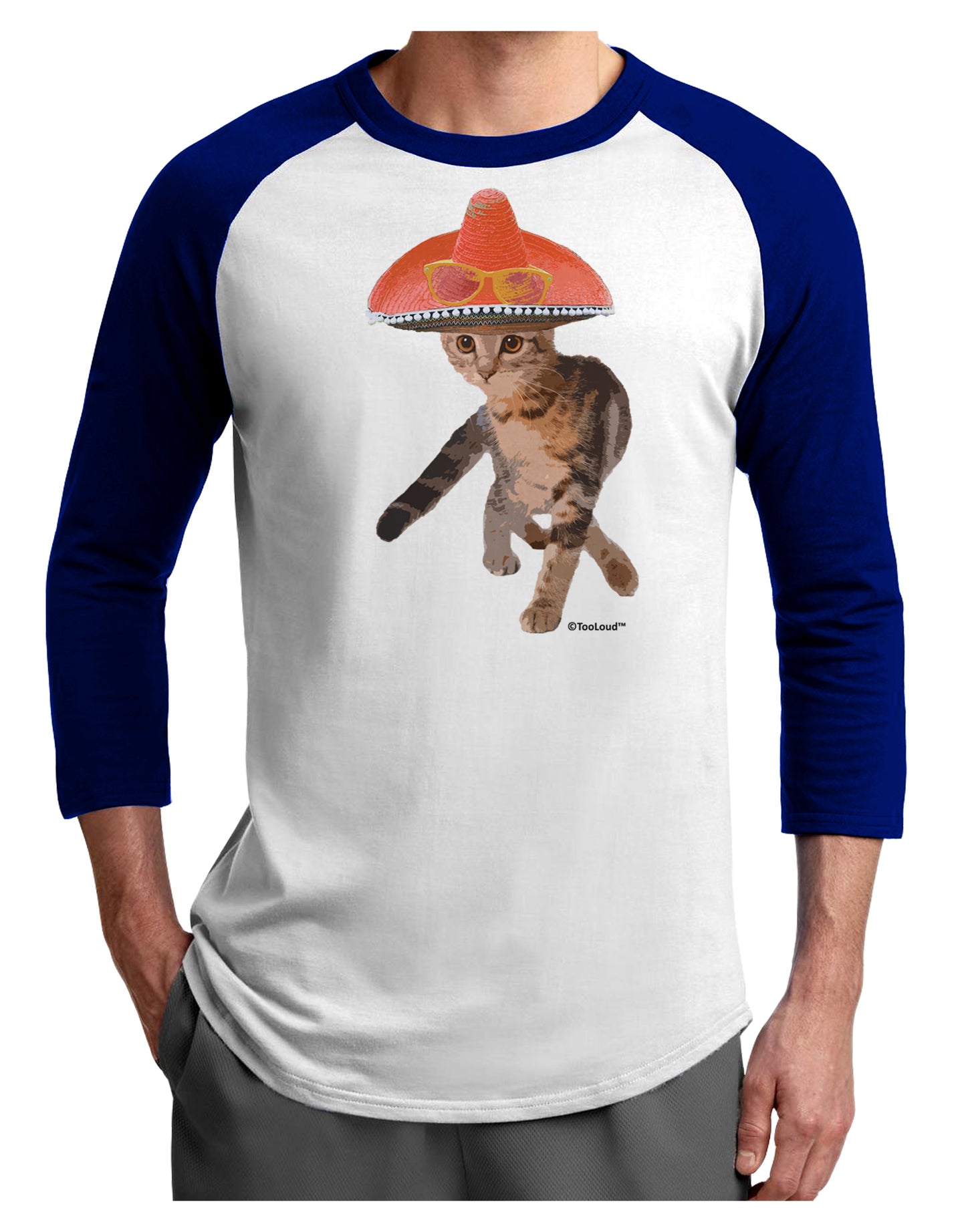 Cat with Pink Sombrero and Sunglasses Adult Raglan Shirt by TooLoud-TooLoud-White-Royal-X-Small-Davson Sales