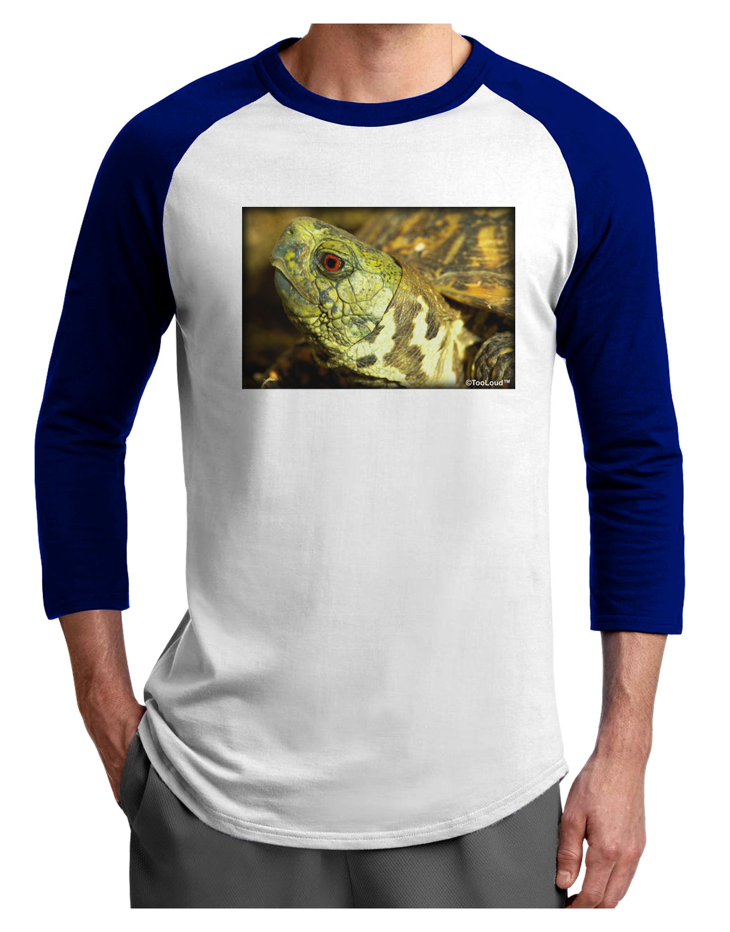 Menacing Turtle Adult Raglan Shirt-Raglan Shirt-TooLoud-White-Royal-X-Small-Davson Sales