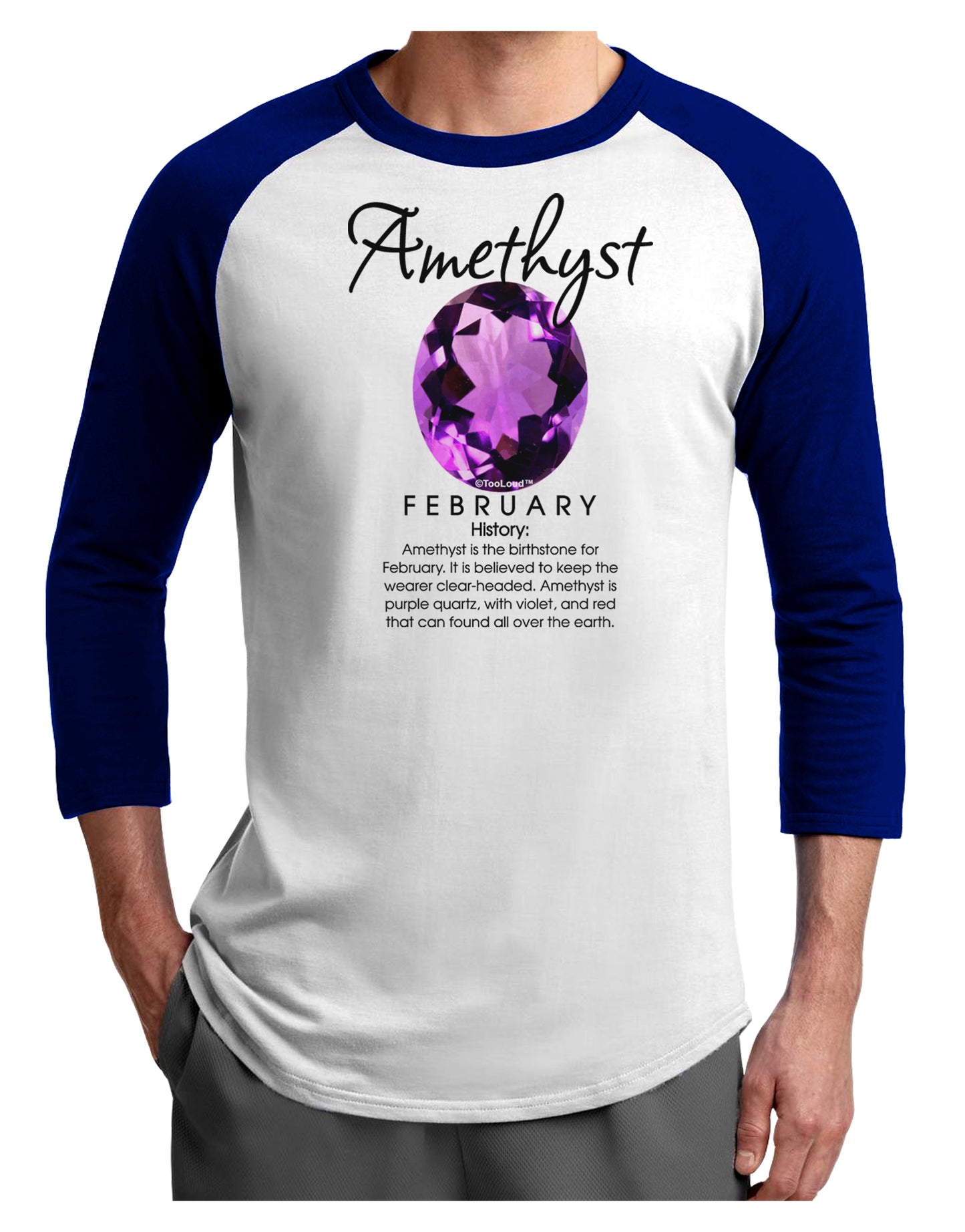 Birthstone Amethyst Adult Raglan Shirt-Raglan Shirt-TooLoud-White-Royal-X-Small-Davson Sales