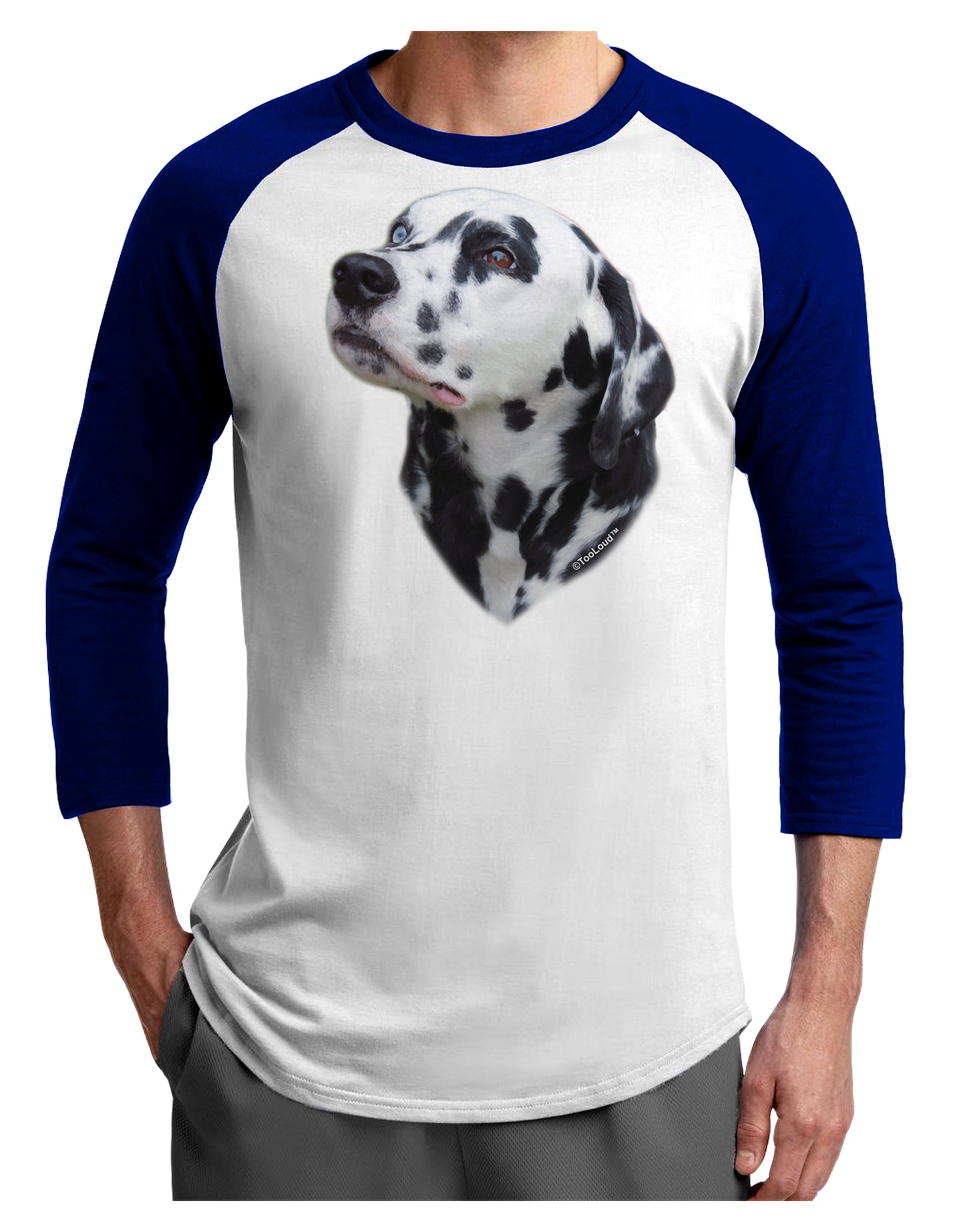 Dalmatian Portrait Adult Raglan Shirt by TooLoud-TooLoud-White-Royal-X-Small-Davson Sales