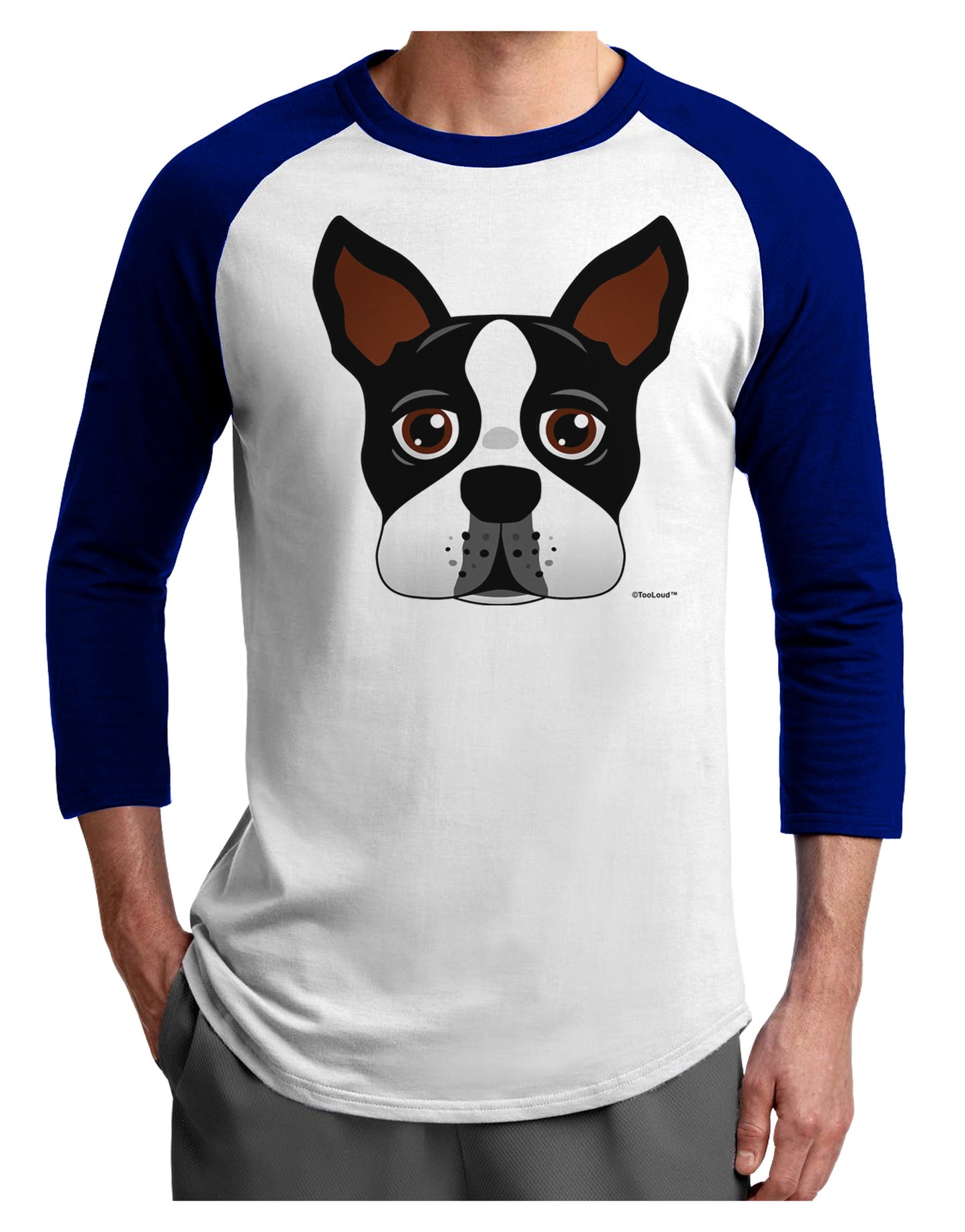 Cute Boston Terrier Dog Face Adult Raglan Shirt-TooLoud-White-Royal-X-Small-Davson Sales