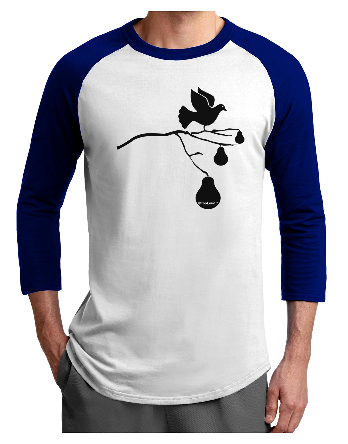 Partridge In A Pear Tree Adult Raglan Shirt-TooLoud-White-Royal-X-Small-Davson Sales