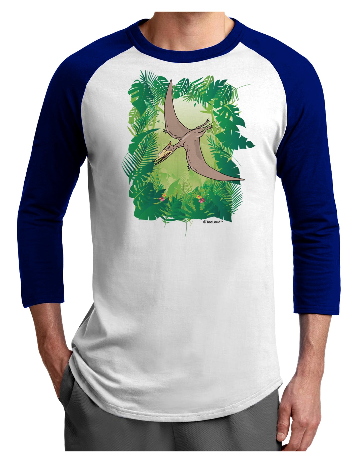 Pterosaurs - Without Name Adult Raglan Shirt by TooLoud-TooLoud-White-Royal-X-Small-Davson Sales