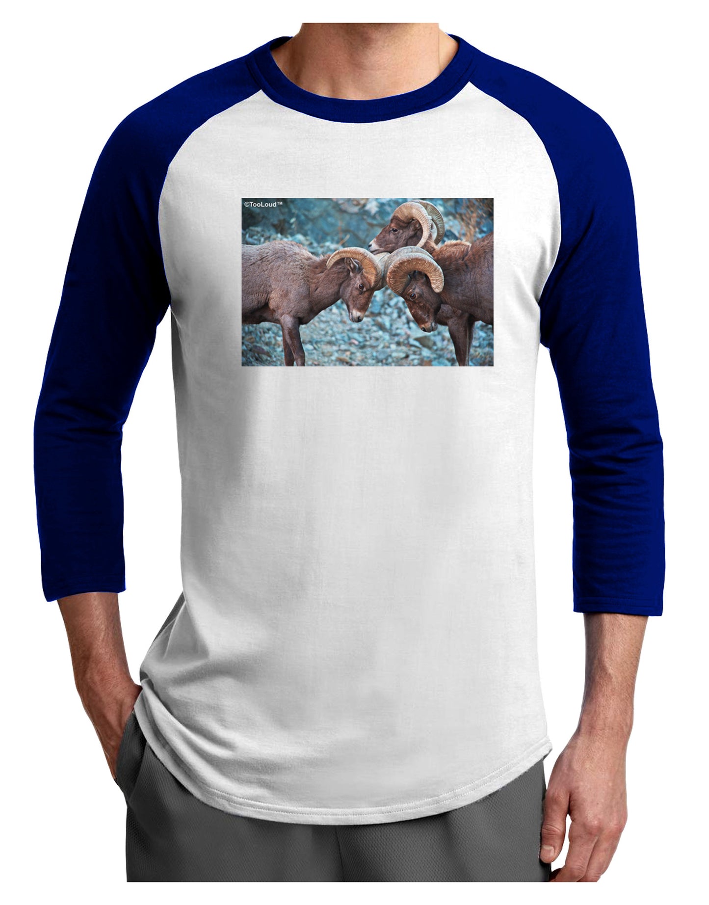 CO Bighorn Head Butt Adult Raglan Shirt-TooLoud-White-Royal-X-Small-Davson Sales