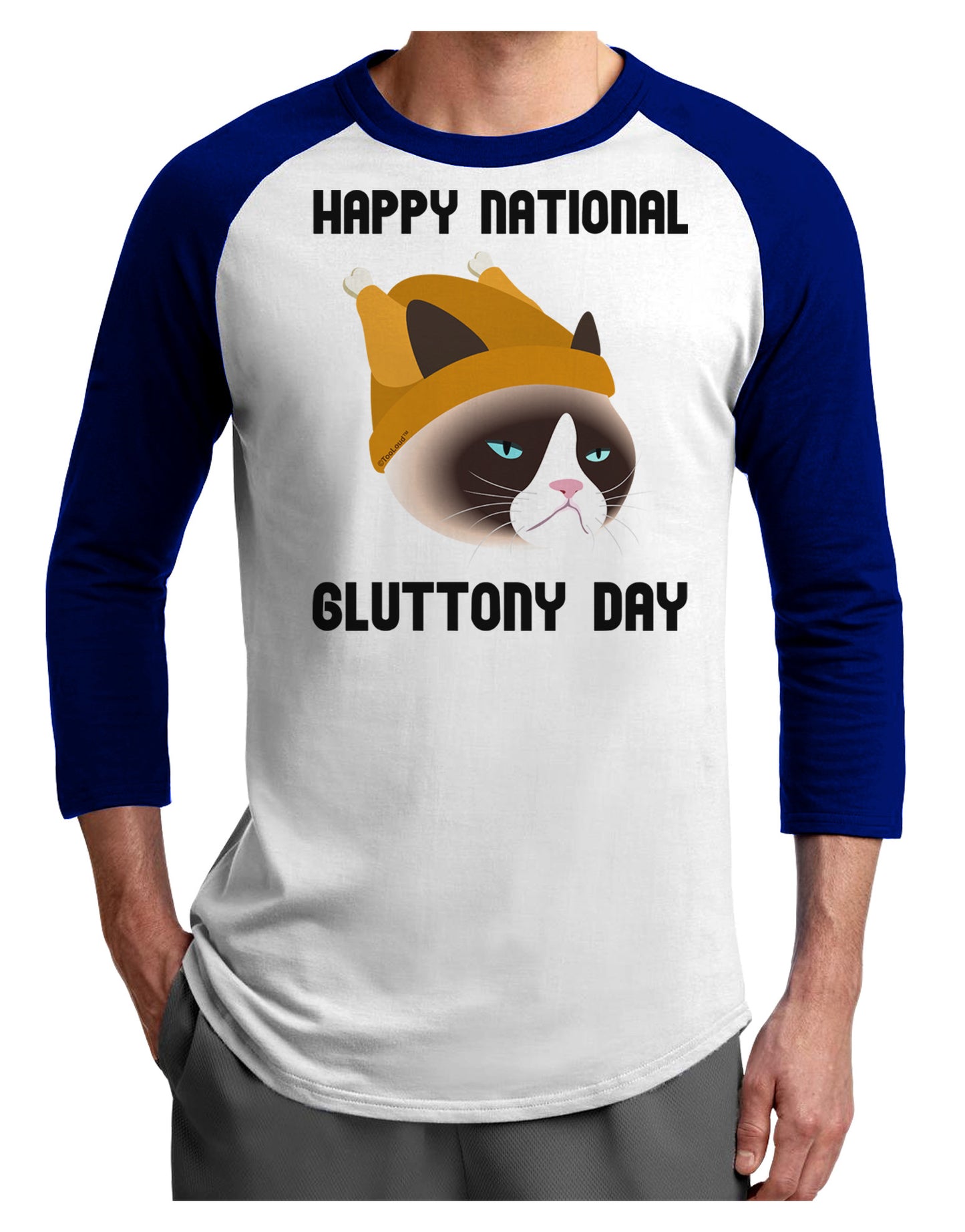 Gluttony Day Disgruntled Cat Adult Raglan Shirt by-Raglan Shirt-TooLoud-White-Royal-X-Small-Davson Sales