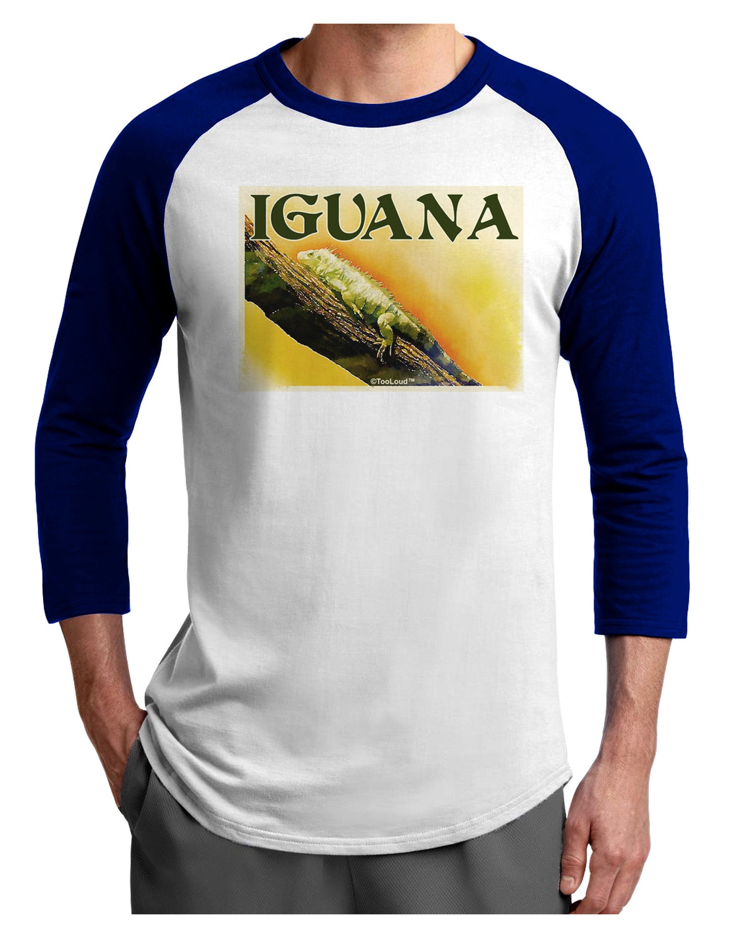 Iguana Watercolor Text Adult Raglan Shirt-TooLoud-White-Royal-X-Small-Davson Sales