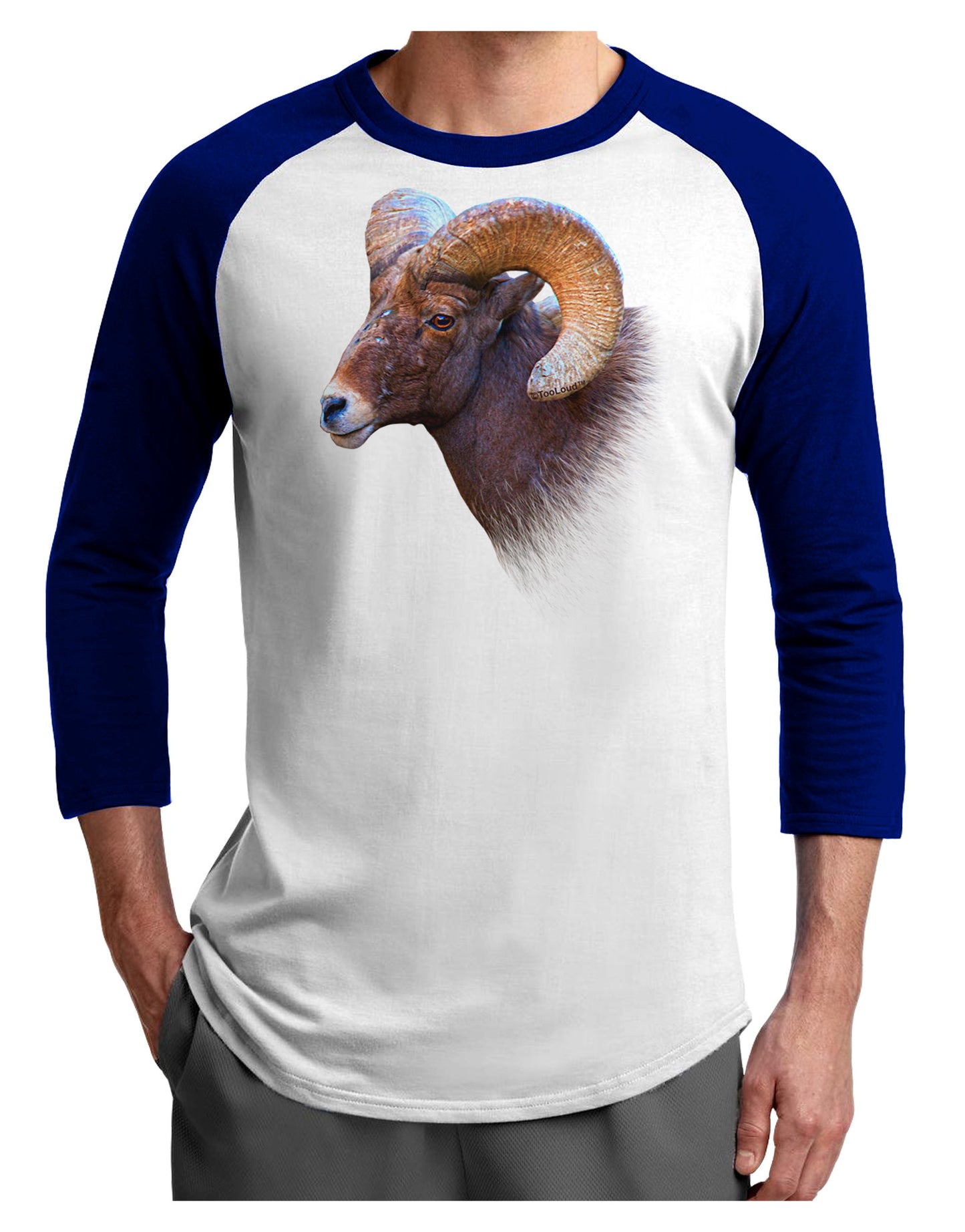 Majestic Bighorn Ram Adult Raglan Shirt-Raglan Shirt-TooLoud-White-Royal-X-Small-Davson Sales
