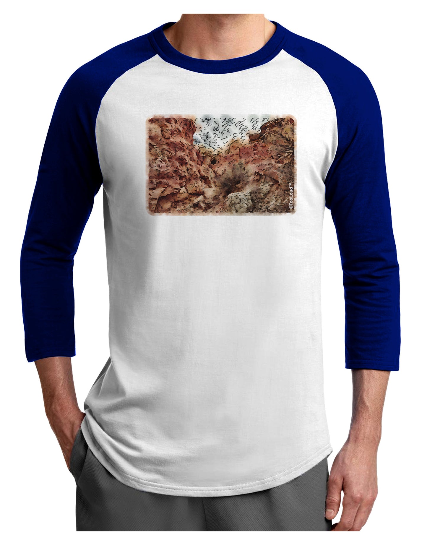 Colorado Painted Rocks Watercolor Adult Raglan Shirt-Raglan Shirt-TooLoud-White-Royal-X-Small-Davson Sales