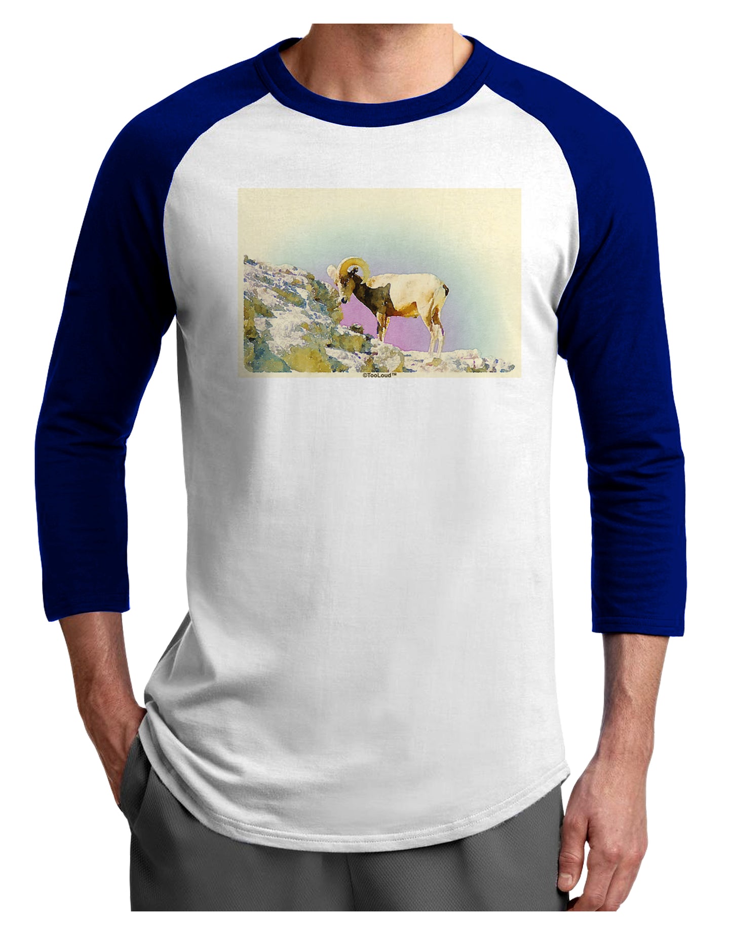Bighorn Ram Watercolor Adult Raglan Shirt-TooLoud-White-Royal-X-Small-Davson Sales
