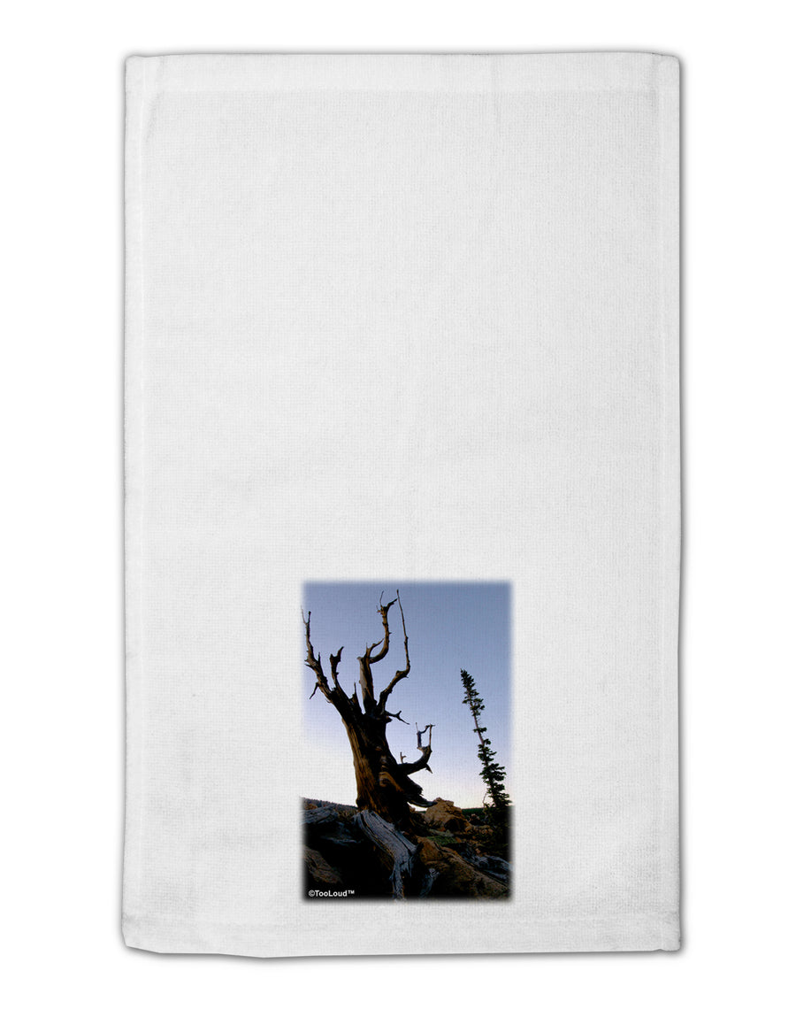 Colorado Mountain Scenery 11&#x22;x18&#x22; Dish Fingertip Towel by TooLoud-Fingertip Towel-TooLoud-White-Davson Sales