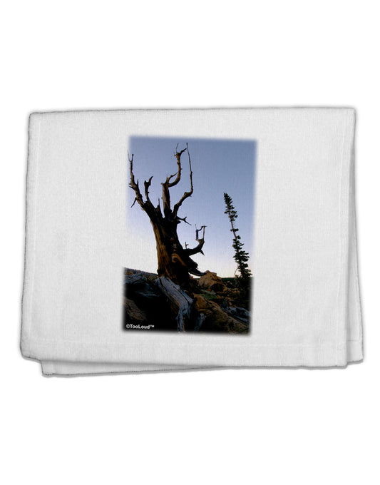 Colorado Mountain Scenery 11&#x22;x18&#x22; Dish Fingertip Towel by TooLoud-Fingertip Towel-TooLoud-White-Davson Sales
