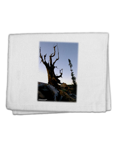 Colorado Mountain Scenery 11&#x22;x18&#x22; Dish Fingertip Towel by TooLoud-Fingertip Towel-TooLoud-White-Davson Sales