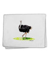 Ostrich Watercolor 11&#x22;x18&#x22; Dish Fingertip Towel-Fingertip Towel-TooLoud-White-Davson Sales