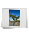 Colorado Landscape Tree 11&#x22;x18&#x22; Dish Fingertip Towel-Fingertip Towel-TooLoud-White-Davson Sales