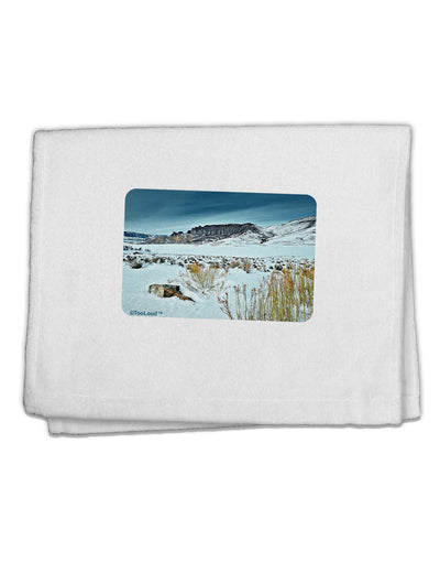 CO Snow Scene 11&#x22;x18&#x22; Dish Fingertip Towel-Fingertip Towel-TooLoud-White-Davson Sales