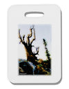 CO Mountain Scenery Watercolor Thick Plastic Luggage Tag-Luggage Tag-TooLoud-White-One Size-Davson Sales