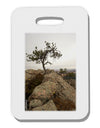 Stone Tree Colorado Thick Plastic Luggage Tag by TooLoud-Luggage Tag-TooLoud-White-One Size-Davson Sales