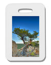 Colorado Landscape Tree Thick Plastic Luggage Tag-Luggage Tag-TooLoud-White-One Size-Davson Sales