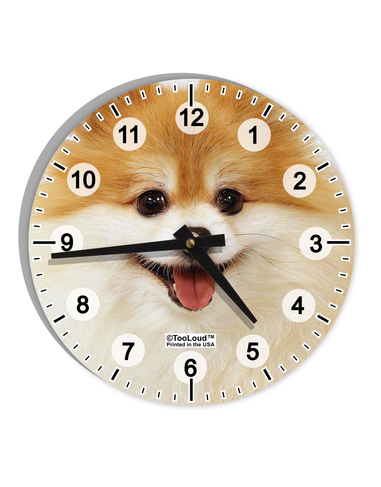 Adorable Pomeranian 1 10 InchRound Wall Clock with Numbers All Over Print-Wall Clock-TooLoud-White-Davson Sales