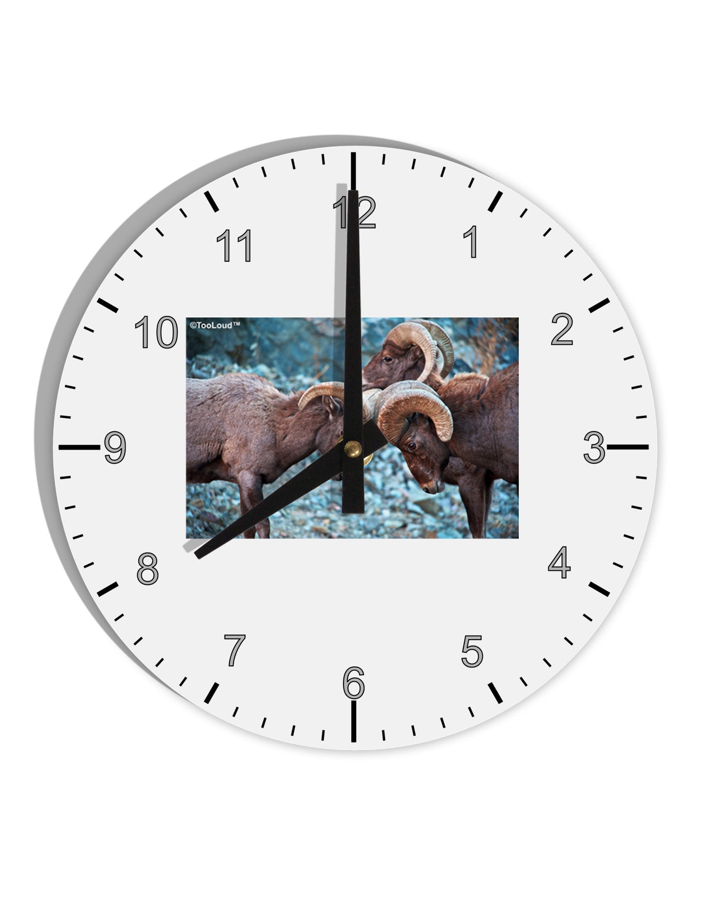 CO Bighorn Head Butt 10 InchRound Wall Clock with Numbers-Wall Clock-TooLoud-White-Davson Sales
