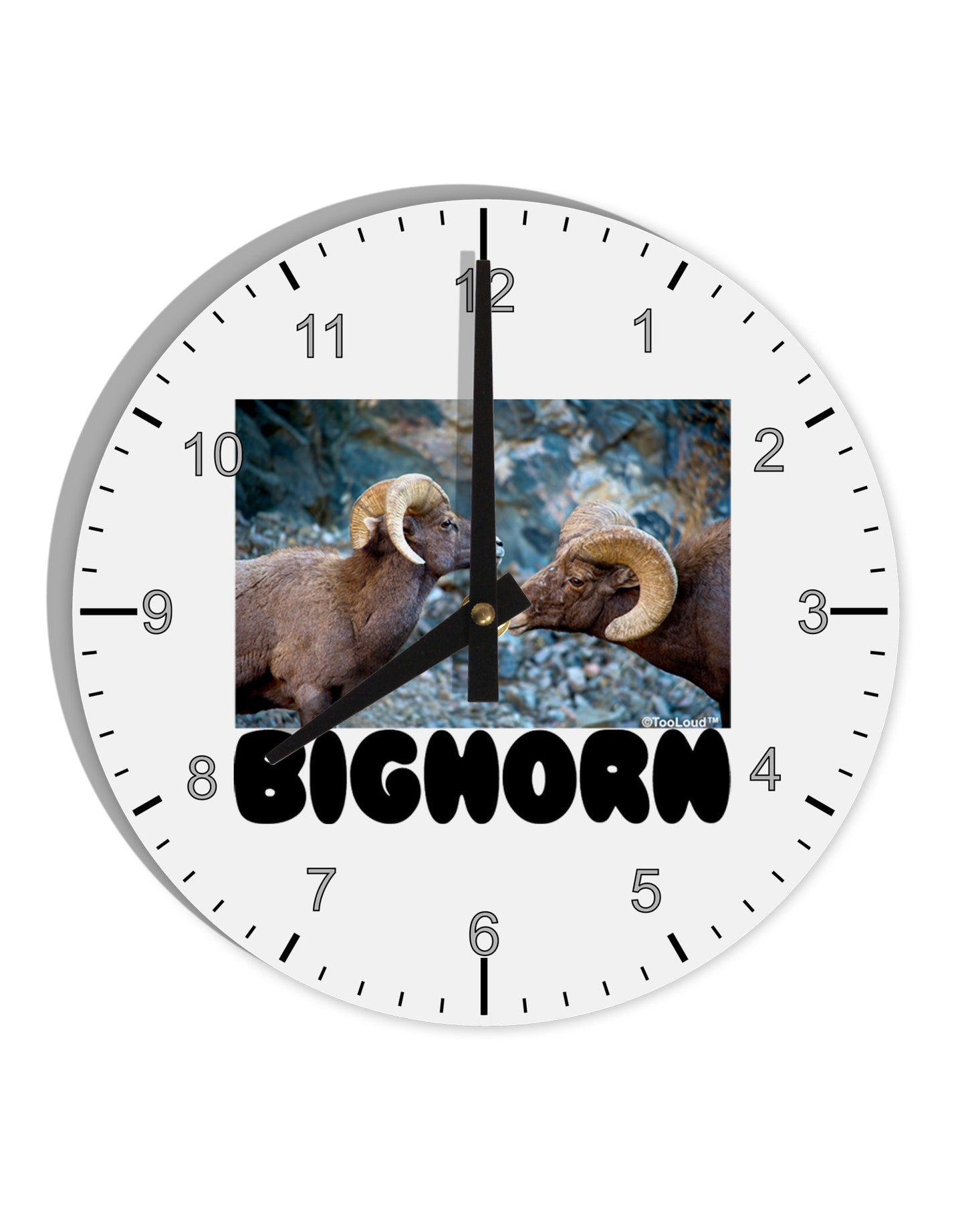 Two Bighorn Rams Text 10 InchRound Wall Clock with Numbers-Wall Clock-TooLoud-White-Davson Sales