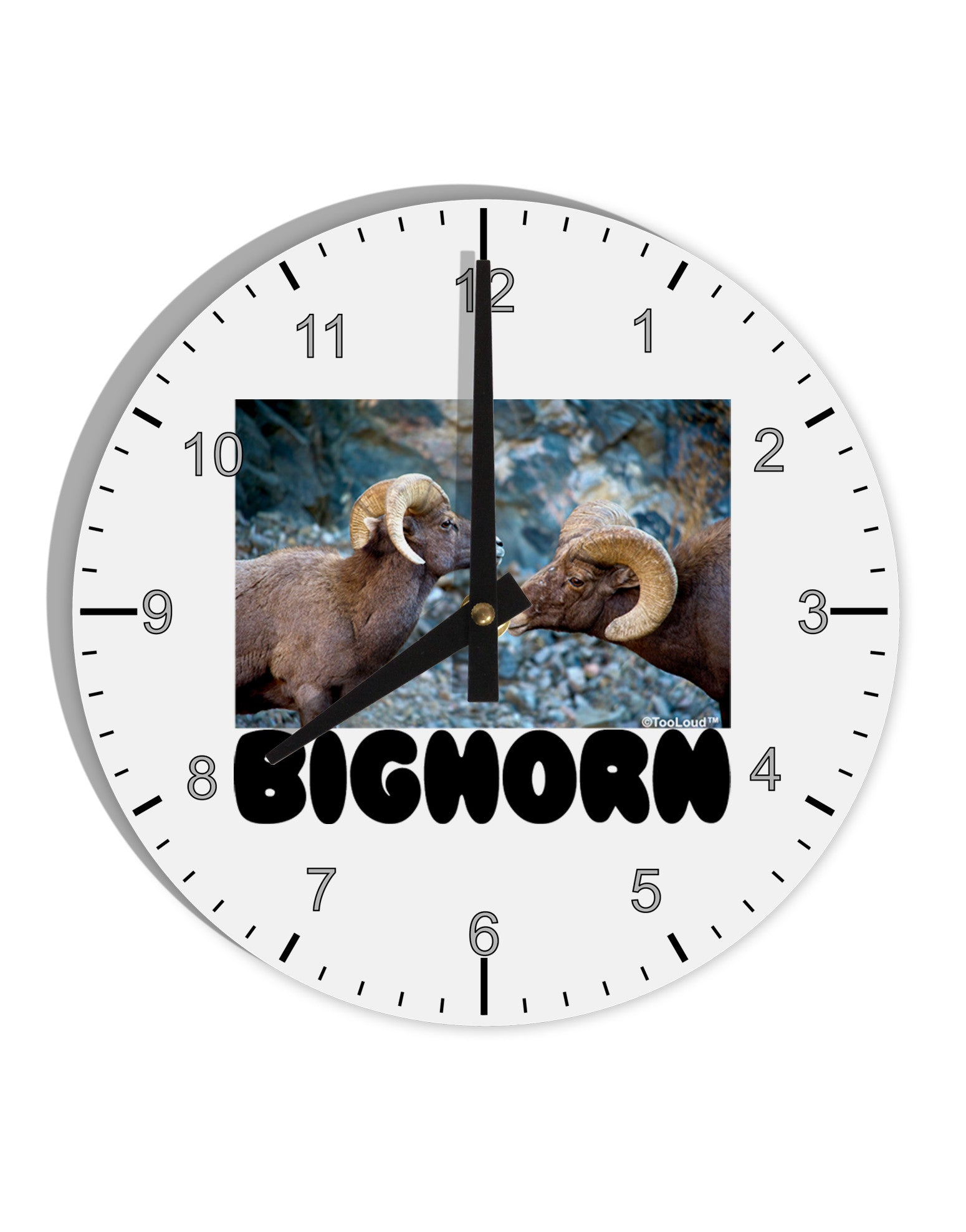 Two Bighorn Rams Text 10 InchRound Wall Clock with Numbers-Wall Clock-TooLoud-White-Davson Sales