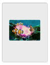 Clownfish Watercolor Aluminum Dry Erase Board-Dry Erase Board-TooLoud-White-Davson Sales