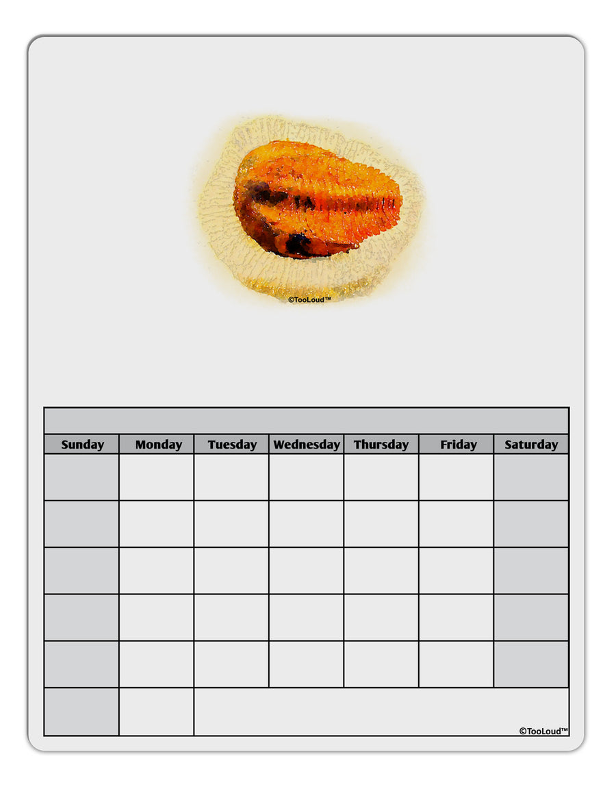 Trilobite Fossil Watercolor Blank Calendar Dry Erase Board-Dry Erase Board-TooLoud-White-Davson Sales