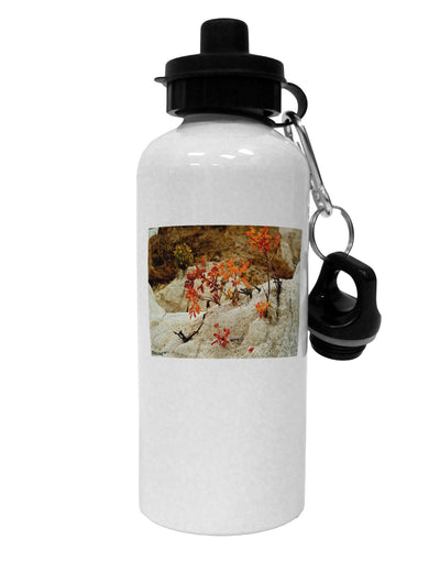 CO Painted Mines Aluminum 600ml Water Bottle-Water Bottles-TooLoud-White-Davson Sales