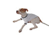 USA Flag Dog Shirt-Dog Shirt-TooLoud-White-with-Black-Small-Davson Sales